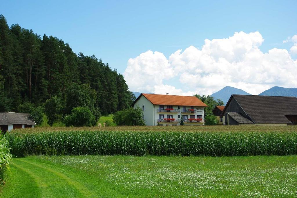 Pension Hribernig Sankt Primus Esterno foto